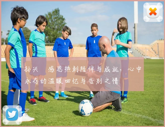 孙兴慜感恩热刺陪伴与成就，心中永存的温暖回忆与告别之情