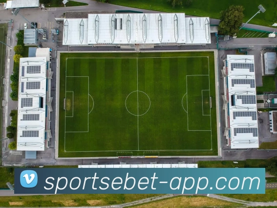 易倍体育APP 封面图