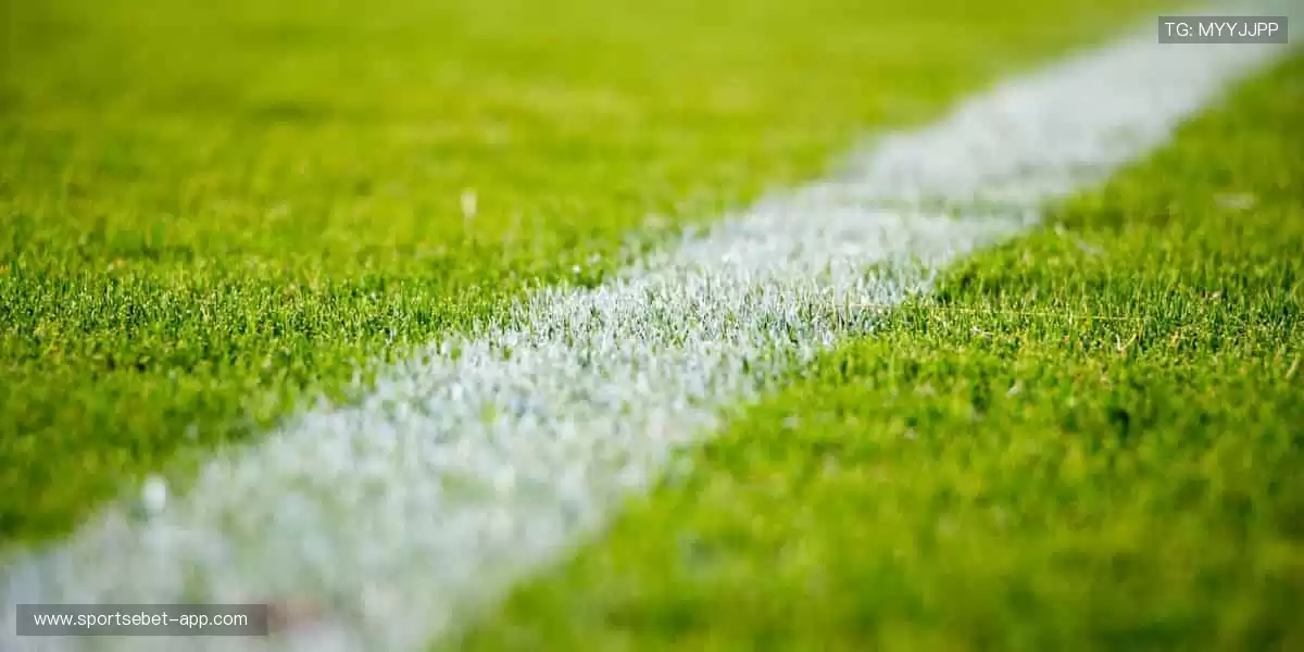 收藏经典，留住美好回忆！📸🔥